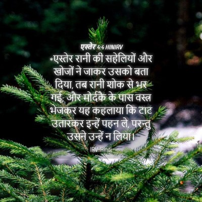 Picture 04 - एस्तेर 4:4 HINIRV - *एस्तेर रानी की - Bible Verse Picture
