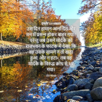 Picture 04 - एस्तेर 5:9 HINIRV - उस दिन हामान - Bible Verse Picture
