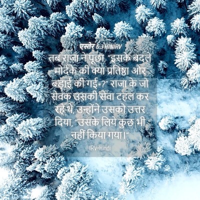 Picture 04 - एस्तेर 6:3 HINIRV - तब राजा ने पूछा, - Bible Verse Picture