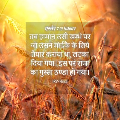 Picture 04 - एस्तेर 7:10 HINIRV - तब हामान उसी खम्भे - Bible Verse Picture