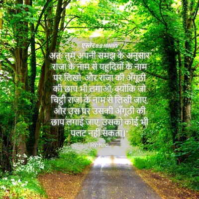 Picture 04 - एस्तेर 8:8 HINIRV - अतः तुम अपनी समझ के - Bible Verse Picture