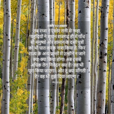 Picture 04 - एस्तेर 9:12 HINIRV - तब राजा ने एस्तेर - Bible Verse Picture
