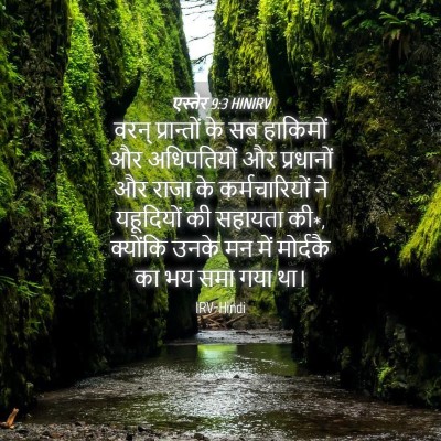 Picture 04 - एस्तेर 9:3 HINIRV - वरन् प्रान्तों के - Bible Verse Picture