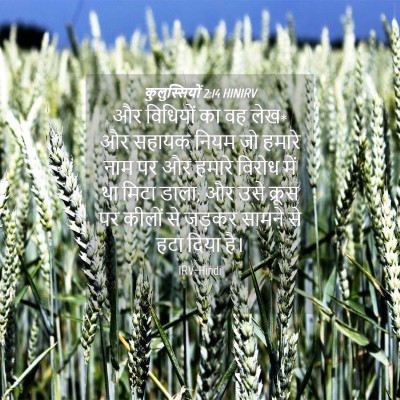 Picture 04 - कुलुस्सियों 2:14 HINIRV - और विधियों का वह - Bible Verse Picture