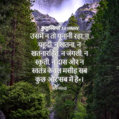 Picture 04 - कुलुस्सियों 3:11 HINIRV - उसमें न तो यूनानी - Bible Verse Picture