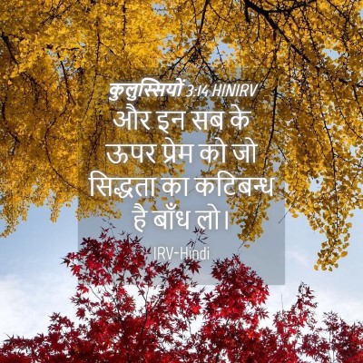 Picture 04 - कुलुस्सियों 3:14 HINIRV - और इन सब के ऊपर - Bible Verse Picture