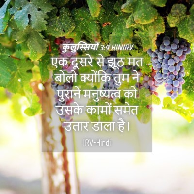 Picture 04 - कुलुस्सियों 3:9 HINIRV - एक दूसरे से झूठ मत - Bible Verse Picture