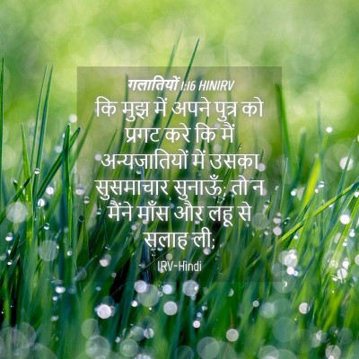 Picture 04 - गलातियों 1:16 HINIRV - कि मुझ में अपने - Bible Verse Picture