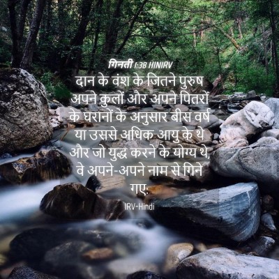 Picture 04 - गिनती 1:38 HINIRV - दान के वंश के जितने - Bible Verse Picture