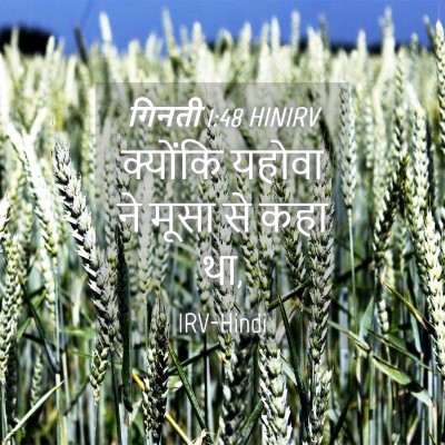 Picture 04 - गिनती 1:48 HINIRV - क्योंकि यहोवा ने - Bible Verse Picture