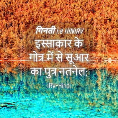 Picture 04 - गिनती 1:8 HINIRV - इस्साकार के गोत्र - Bible Verse Picture