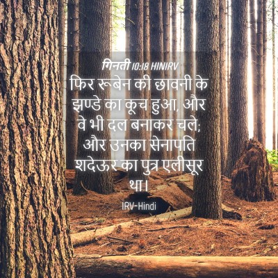 Picture 04 - गिनती 10:18 HINIRV - फिर रूबेन की छावनी - Bible Verse Picture