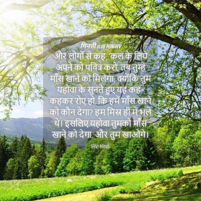 Picture 04 - गिनती 11:18 HINIRV - और लोगों से कह, 'कल - Bible Verse Picture