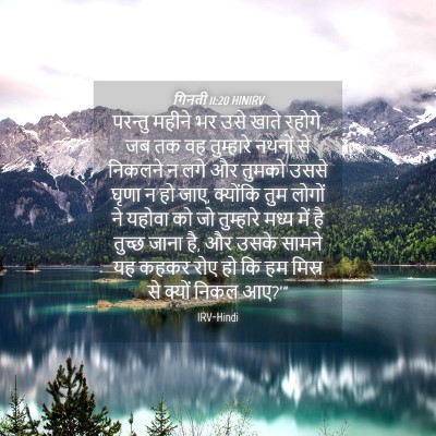 Picture 04 - गिनती 11:20 HINIRV - परन्तु महीने भर - Bible Verse Picture