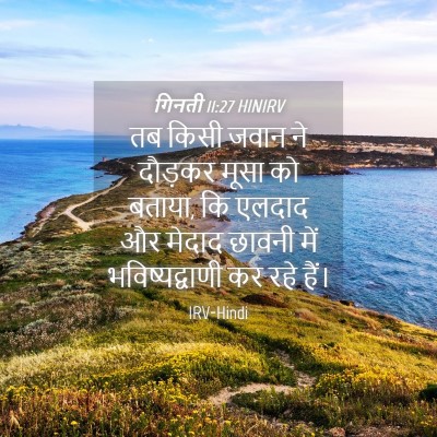 Picture 04 - गिनती 11:27 HINIRV - तब किसी जवान ने - Bible Verse Picture