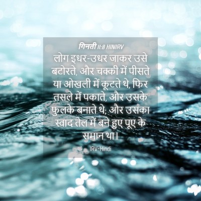 Picture 04 - गिनती 11:8 HINIRV - लोग इधर-उधर जाकर - Bible Verse Picture