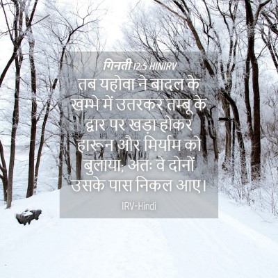 Picture 04 - गिनती 12:5 HINIRV - तब यहोवा ने बादल के - Bible Verse Picture