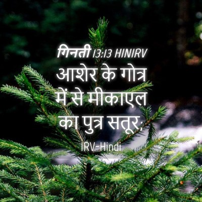Picture 04 - गिनती 13:13 HINIRV - आशेर के गोत्र में - Bible Verse Picture