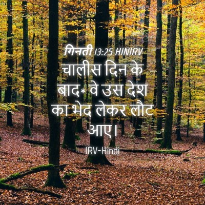 Picture 04 - गिनती 13:25 HINIRV - चालीस दिन के बाद* - Bible Verse Picture