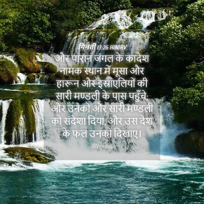 Picture 04 - गिनती 13:26 HINIRV - और पारान जंगल के - Bible Verse Picture