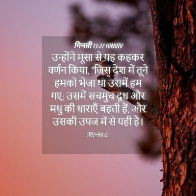 Picture 04 - गिनती 13:27 HINIRV - उन्होंने मूसा से - Bible Verse Picture