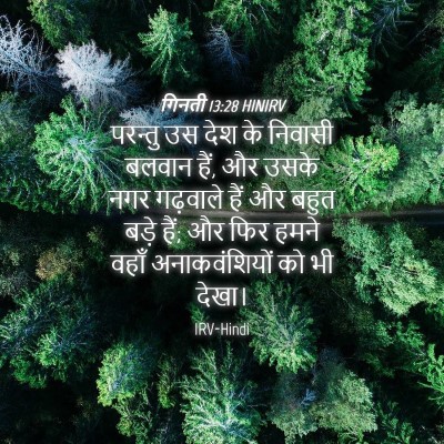 Picture 04 - गिनती 13:28 HINIRV - परन्तु उस देश के - Bible Verse Picture