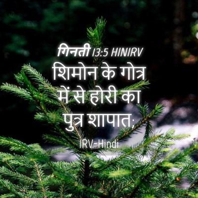 Picture 04 - गिनती 13:5 HINIRV - शिमोन के गोत्र में - Bible Verse Picture