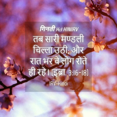 Picture 04 - गिनती 14:1 HINIRV - तब सारी मण्डली - Bible Verse Picture