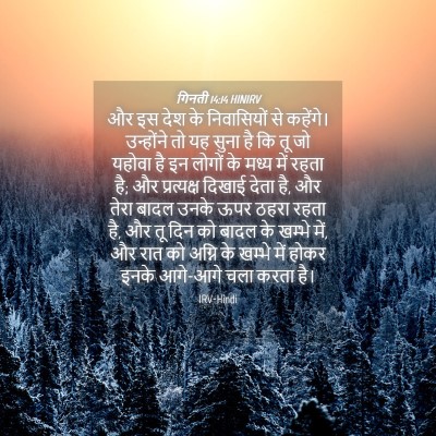 Picture 04 - गिनती 14:14 HINIRV - और इस देश के - Bible Verse Picture