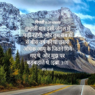 Picture 04 - गिनती 14:29 HINIRV - तुम्हारी शव इसी - Bible Verse Picture
