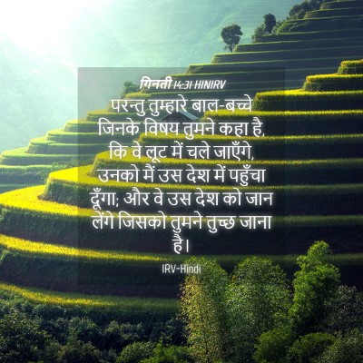 Picture 04 - गिनती 14:31 HINIRV - परन्तु तुम्हारे - Bible Verse Picture