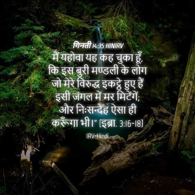 Picture 04 - गिनती 14:35 HINIRV - मैं यहोवा यह कह - Bible Verse Picture