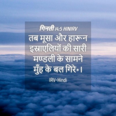 Picture 04 - गिनती 14:5 HINIRV - तब मूसा और हारून - Bible Verse Picture