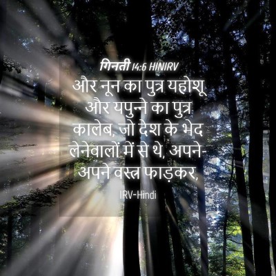 Picture 04 - गिनती 14:6 HINIRV - और नून का पुत्र - Bible Verse Picture