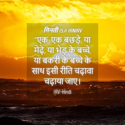 Picture 04 - गिनती 15:11 HINIRV - “एक-एक बछड़े, या - Bible Verse Picture