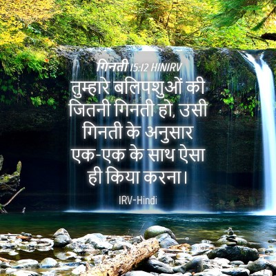 Picture 04 - गिनती 15:12 HINIRV - तुम्हारे बलिपशुओं - Bible Verse Picture
