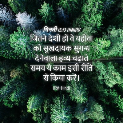 Picture 04 - गिनती 15:13 HINIRV - जितने देशी हों वे - Bible Verse Picture