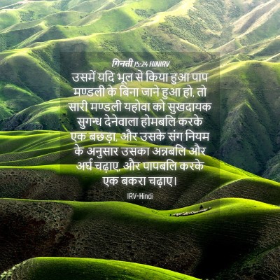 Picture 04 - गिनती 15:24 HINIRV - उसमें यदि भूल से - Bible Verse Picture