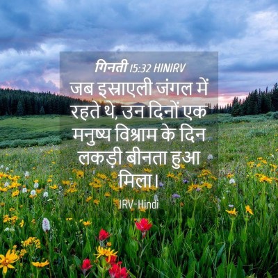 Picture 04 - गिनती 15:32 HINIRV - जब इस्राएली जंगल - Bible Verse Picture