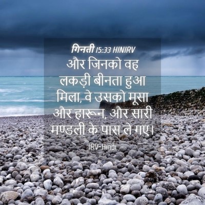 Picture 04 - गिनती 15:33 HINIRV - और जिनको वह लकड़ी - Bible Verse Picture
