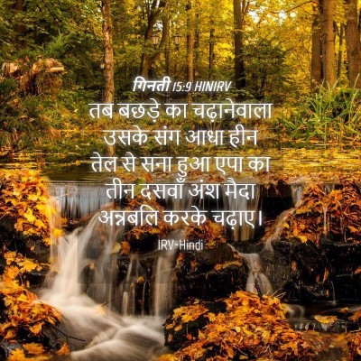 Picture 04 - गिनती 15:9 HINIRV - तब बछड़े का - Bible Verse Picture