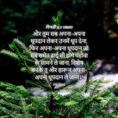 Picture 04 - गिनती 16:17 HINIRV - और तुम सब अपना-अपना - Bible Verse Picture