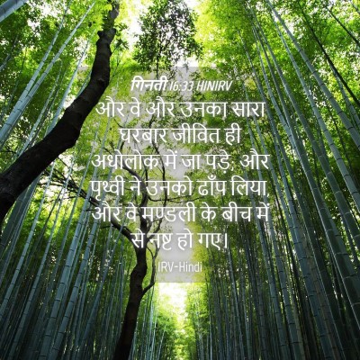 Picture 04 - गिनती 16:33 HINIRV - और वे और उनका सारा - Bible Verse Picture