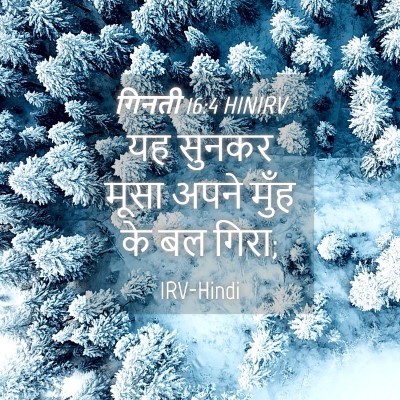 Picture 04 - गिनती 16:4 HINIRV - यह सुनकर मूसा अपने - Bible Verse Picture