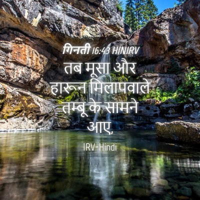 Picture 04 - गिनती 16:43 HINIRV - तब मूसा और हारून - Bible Verse Picture