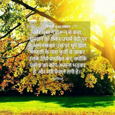 Picture 04 - गिनती 16:46 HINIRV - और मूसा ने हारून से - Bible Verse Picture