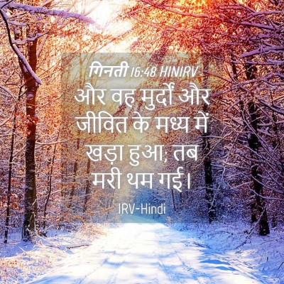 Picture 04 - गिनती 16:48 HINIRV - और वह मुर्दों और - Bible Verse Picture