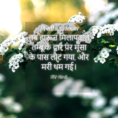 Picture 04 - गिनती 16:50 HINIRV - तब हारून - Bible Verse Picture