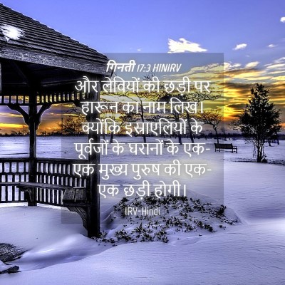 Picture 04 - गिनती 17:3 HINIRV - और लेवियों की छड़ी - Bible Verse Picture