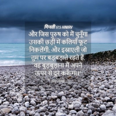 Picture 04 - गिनती 17:5 HINIRV - और जिस पुरुष को मैं - Bible Verse Picture